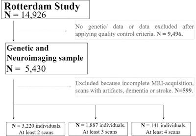 Aging-Dependent Genetic Effects Associated to ADHD Predict Longitudinal Changes of Ventricular Volumes in Adulthood